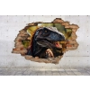 Dziura w ścianie 3D nr 173 Dinozaur - 2